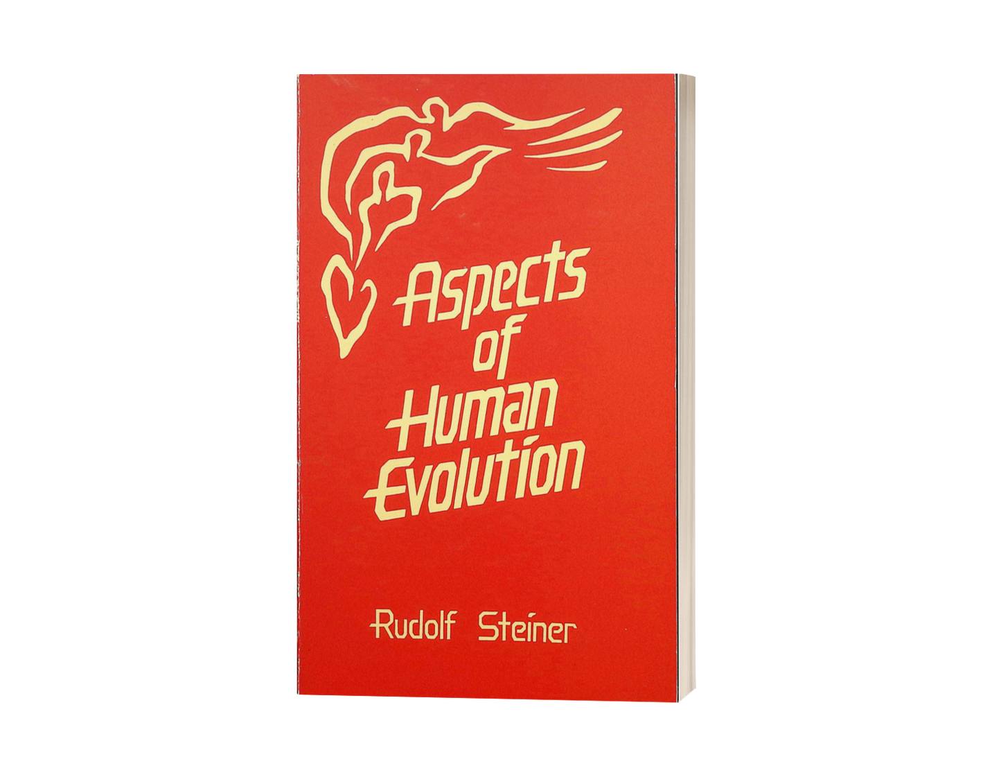 Aspects of Human Evolution