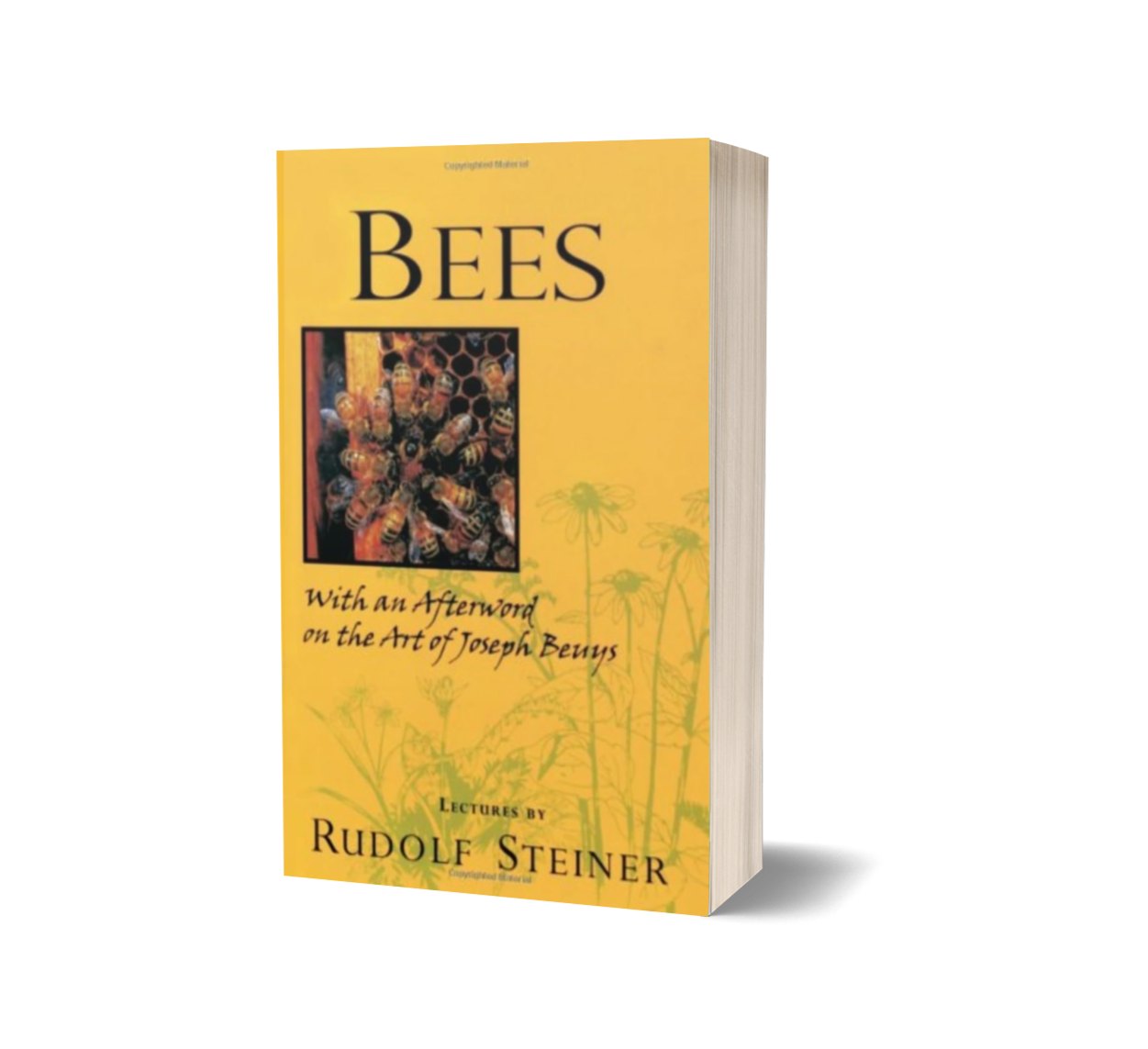 Bees