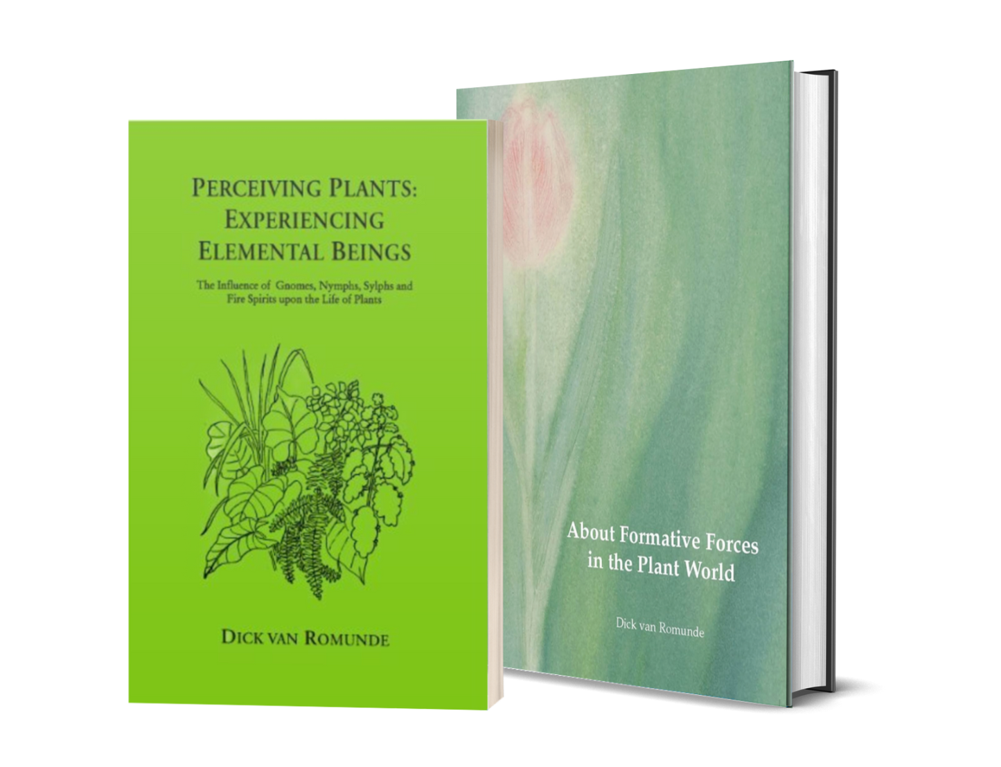 Holiday Bundle: Perceiving Plants & Formative Forces in the Plant World