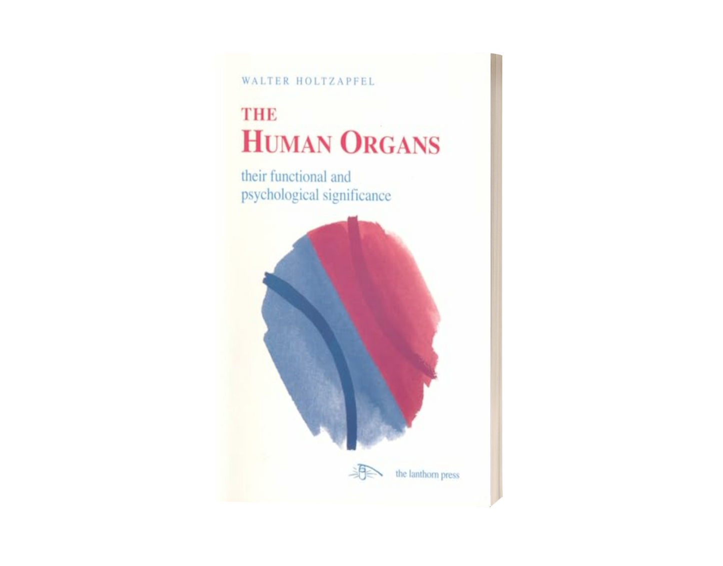 The Human Organs