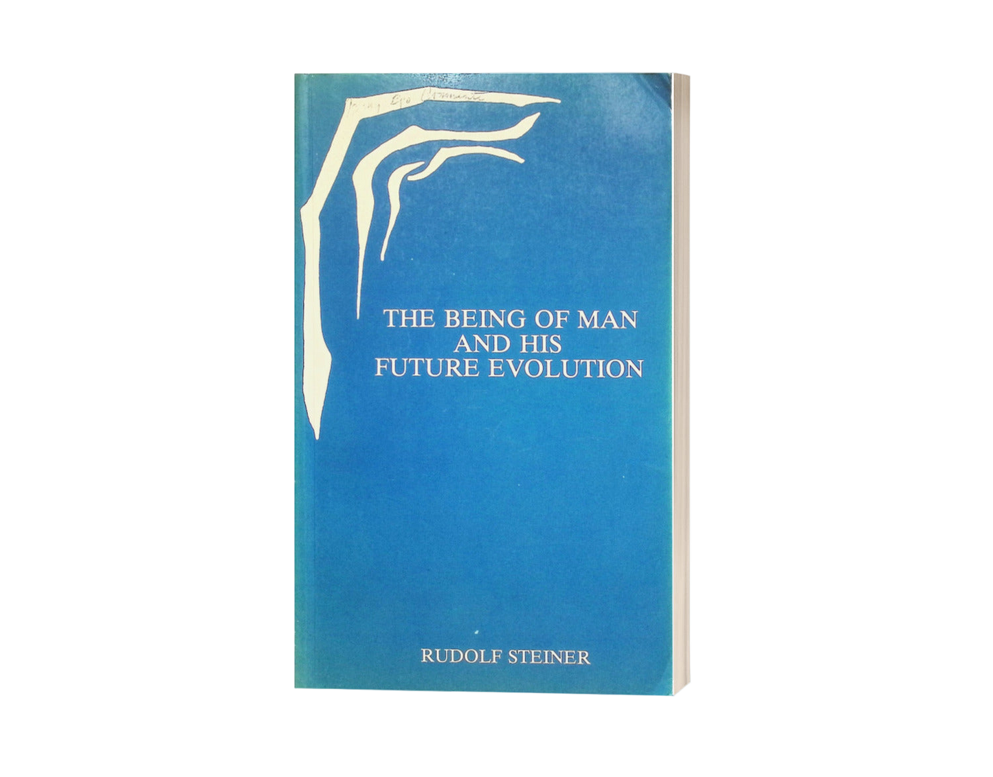 The Being of Man and His Future Evolution (CW 107)