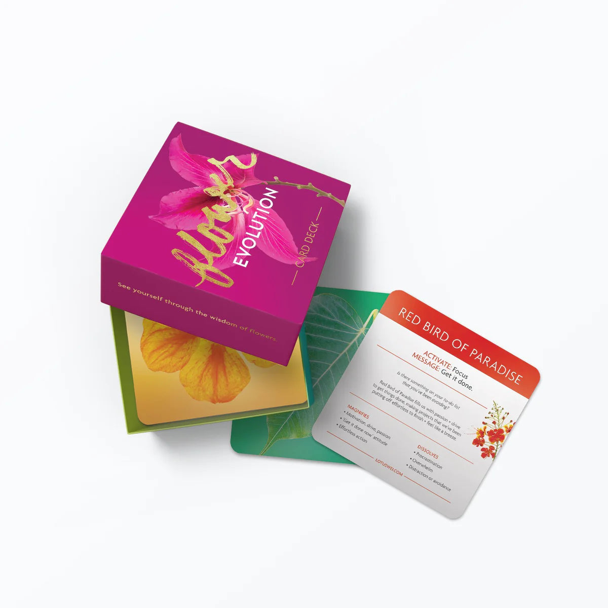 Flower Evolution Card Deck