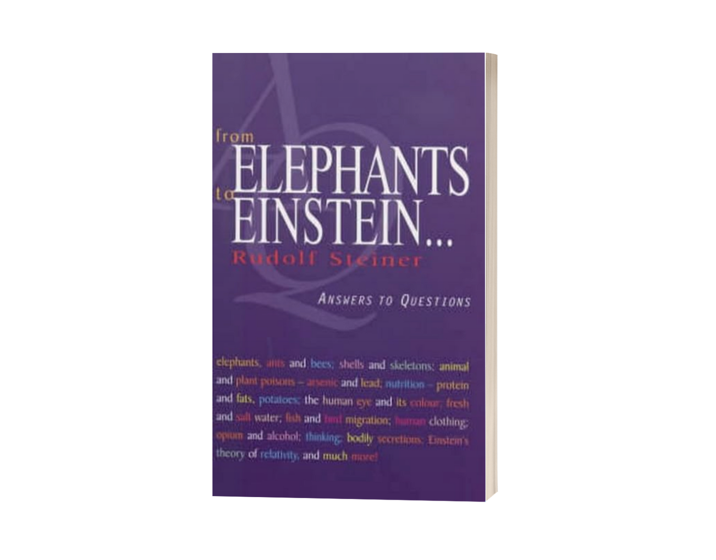 From Elephants to Einstein