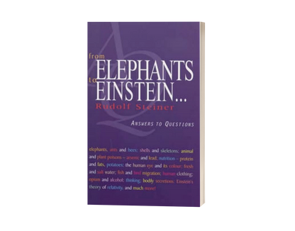 From Elephants to Einstein