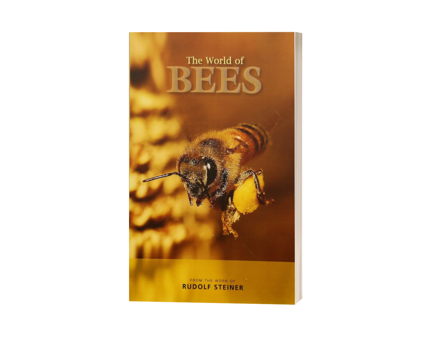 The World of Bees