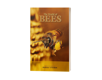 The World of Bees