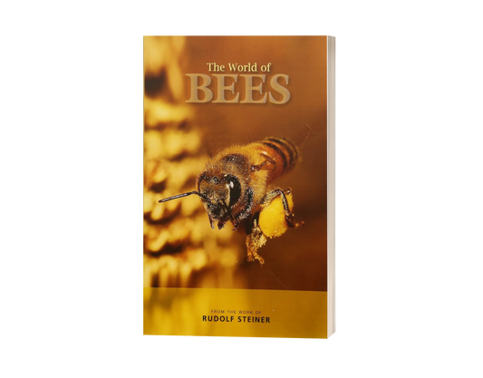 The World of Bees