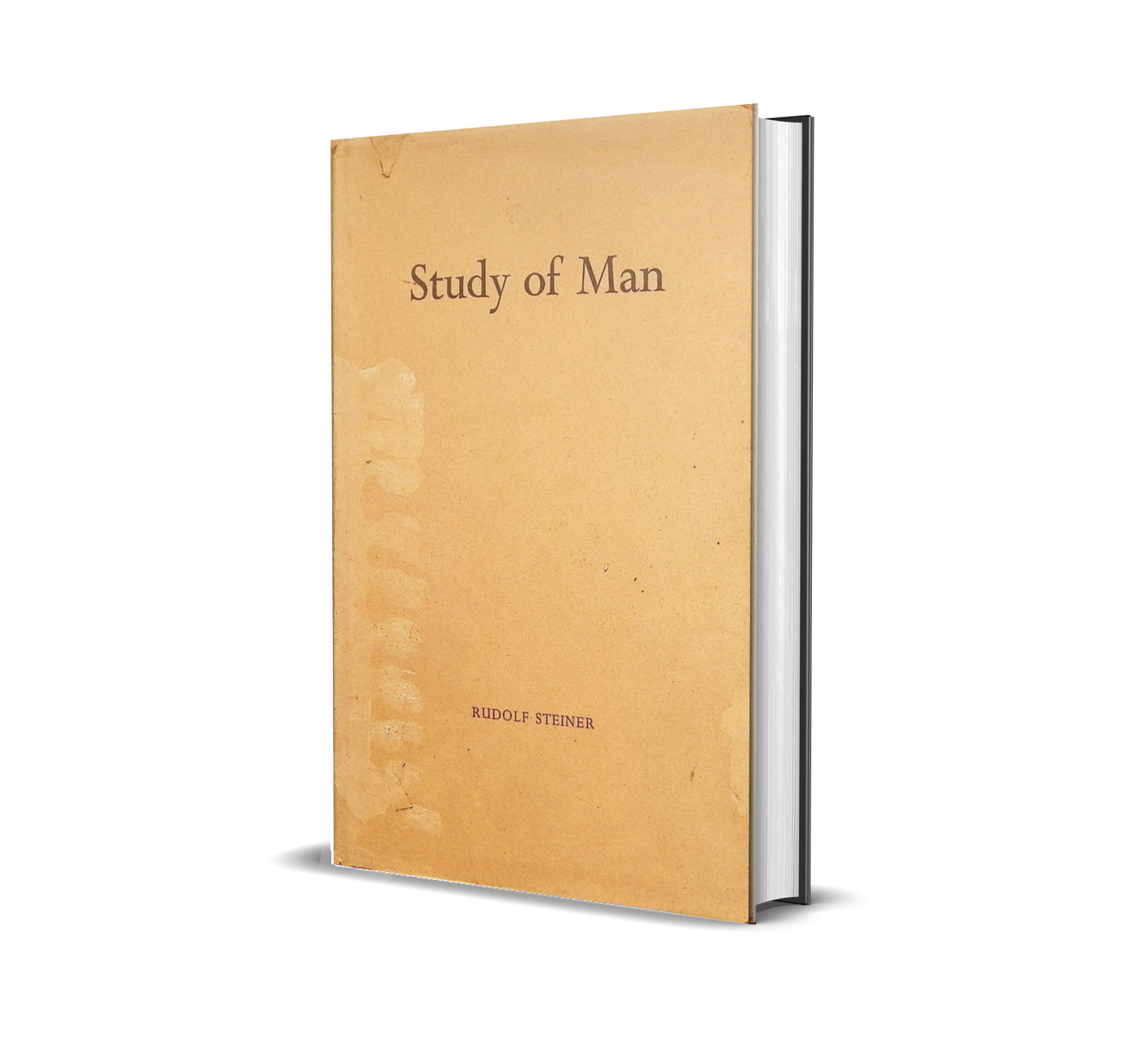 Study of Man (1960)