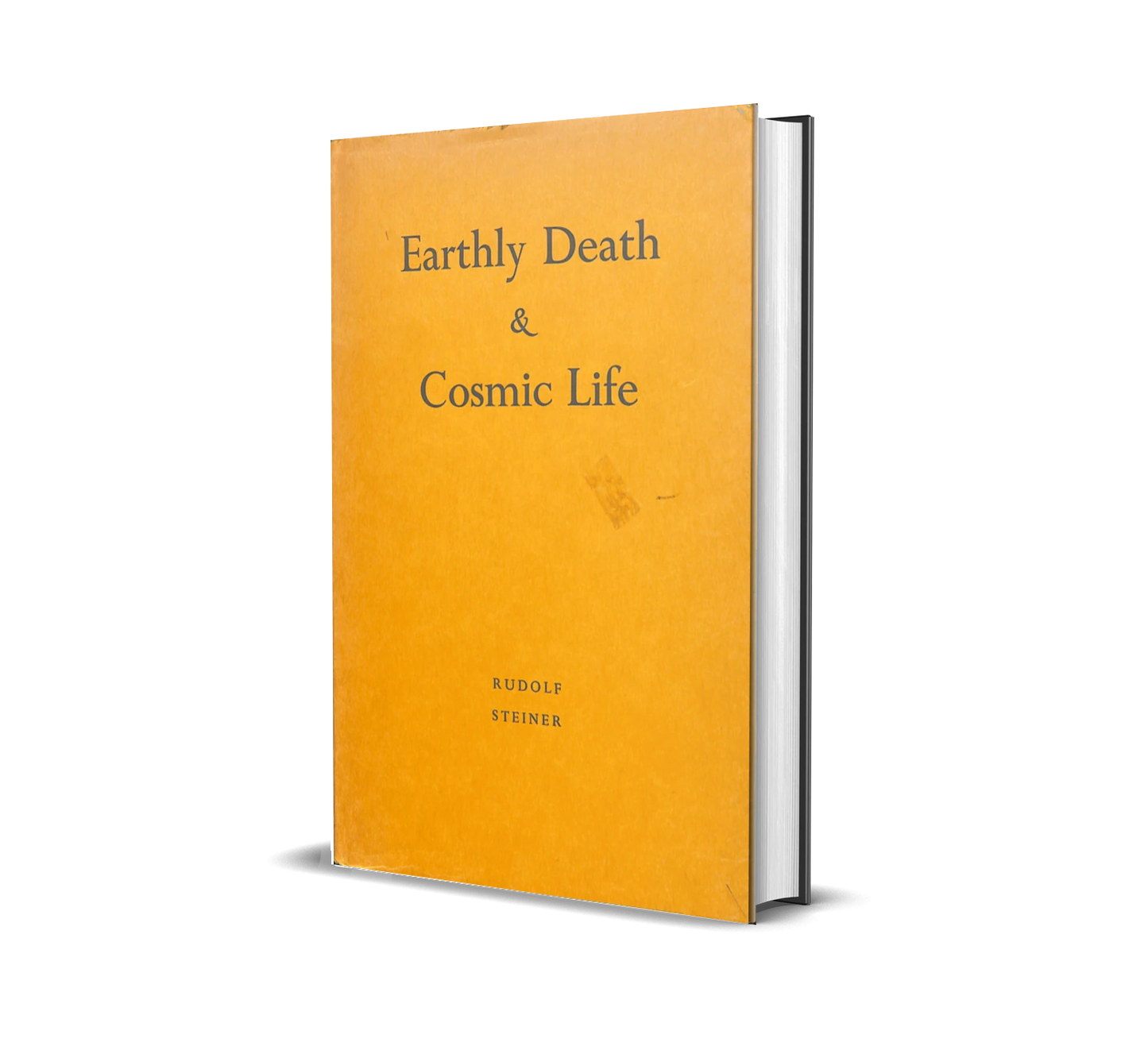 Earthly Death and Cosmic Life