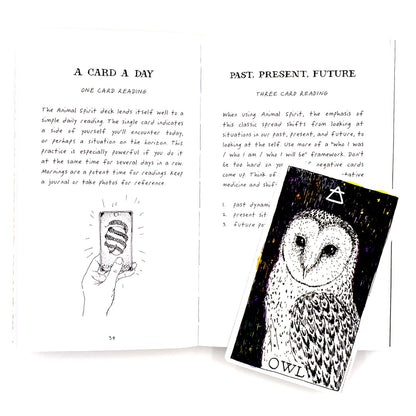 The Wild Unknown Animal Spirit Deck 1st edition 2016 Indie Print