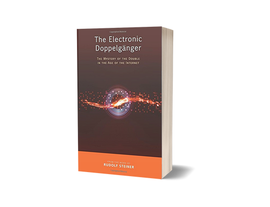 The Electronic Doppelgänger