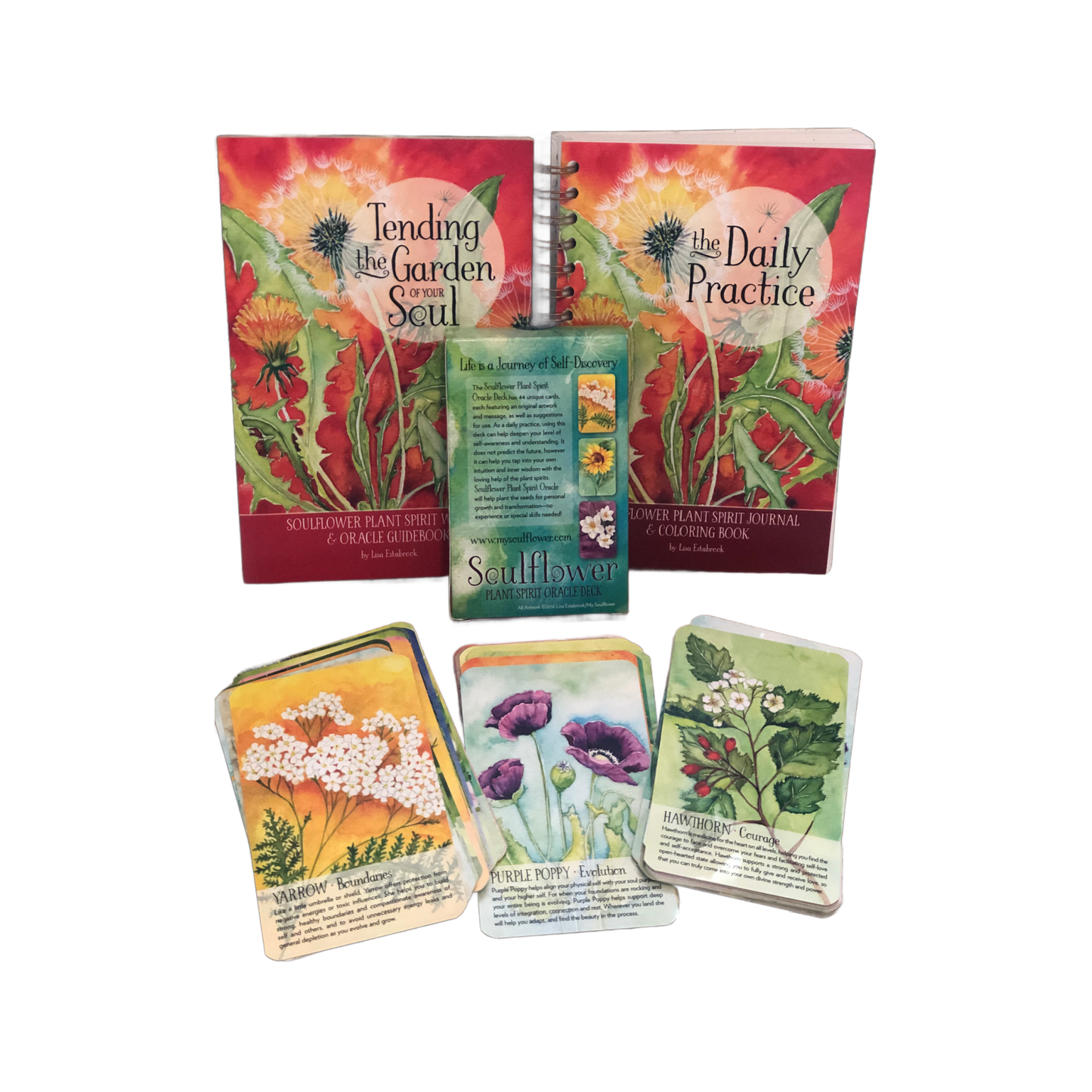 Soulflower Plant Spirit Oracle: Indie 44-Card Deck,  Guidebook, and Journal