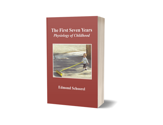 The First Seven Years