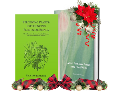 Holiday Bundle: Perceiving Plants & Formative Forces in the Plant World