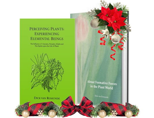 Holiday Bundle: Perceiving Plants & Formative Forces in the Plant World