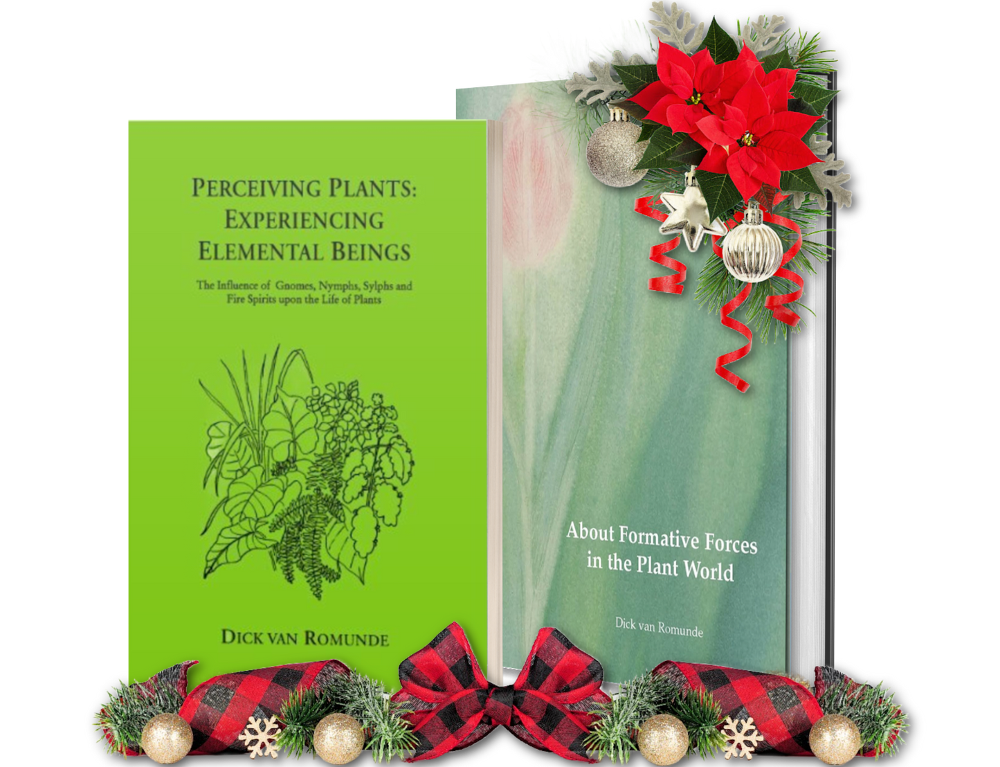 Holiday Bundle: Perceiving Plants & Formative Forces in the Plant World