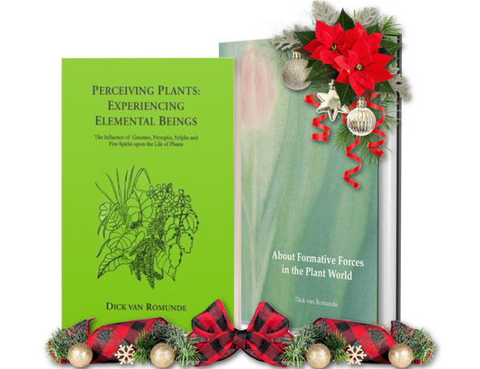Holiday Bundle: Perceiving Plants & Formative Forces in the Plant World