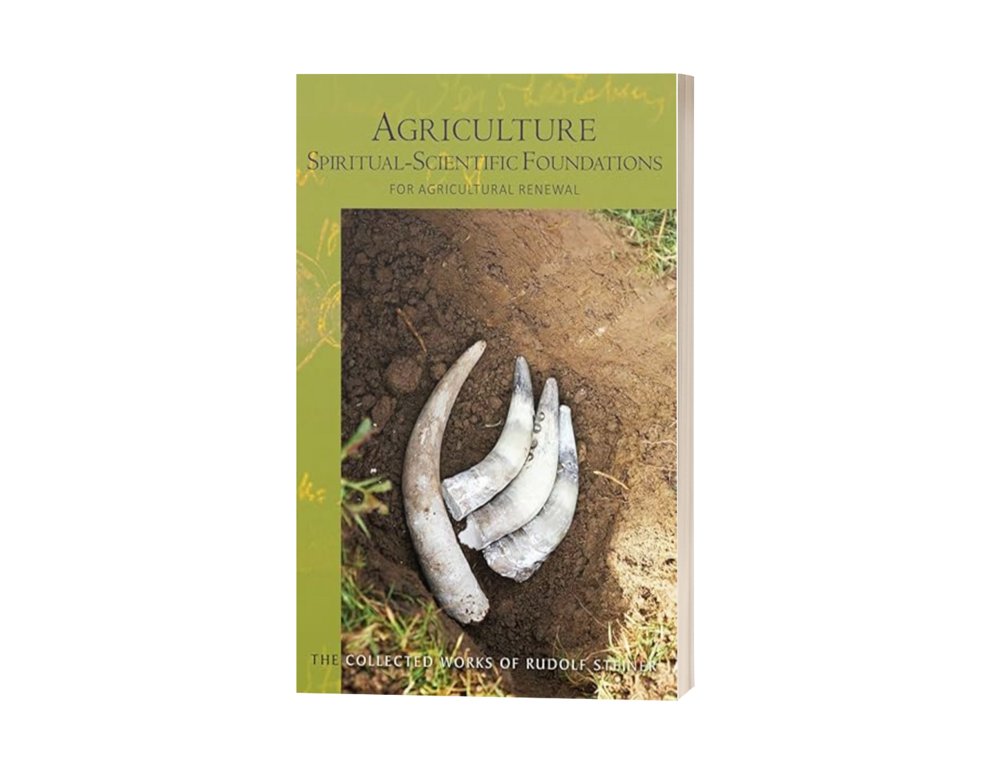 Agriculture: Spiritual-Scientific Foundations for Agricultural Renewal