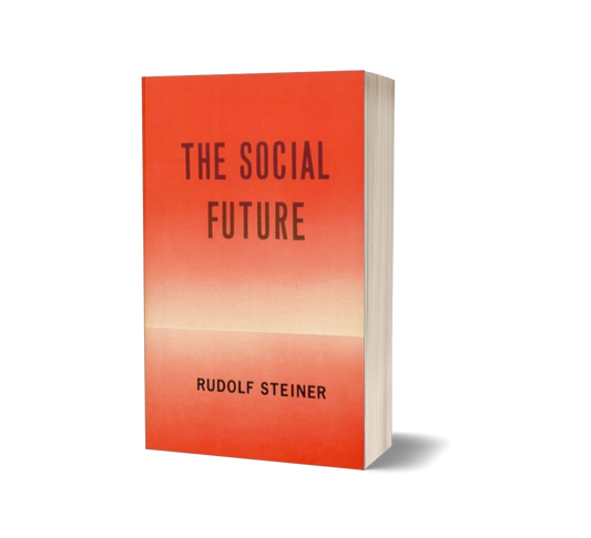 The Social Future