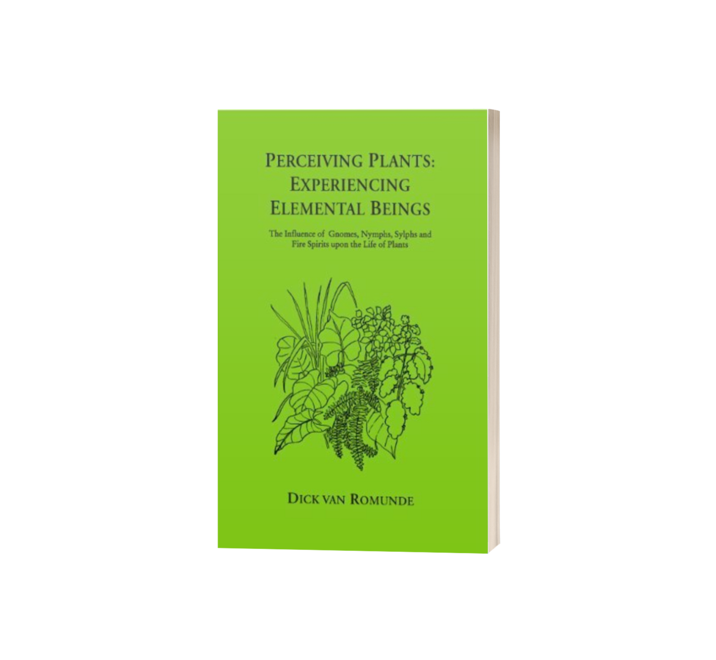 Perceiving Plants: Experiencing Elemental Beings