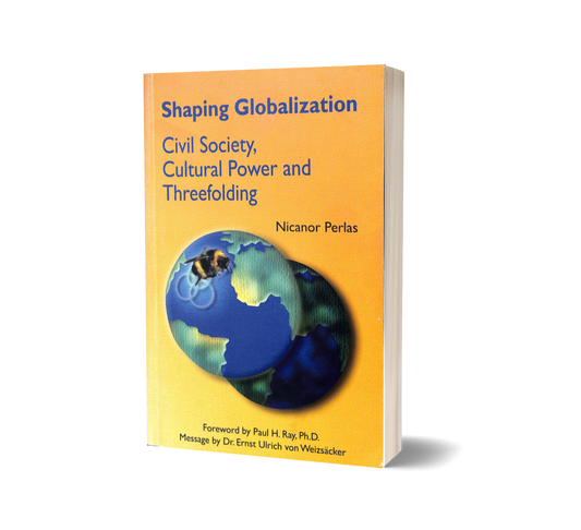 Shaping Globalization